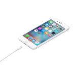  Lightning to USB Cable (1 m) Price in Kenya - Phones Store Kenya