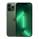 iPhone 13 Pro Max Alpine Green