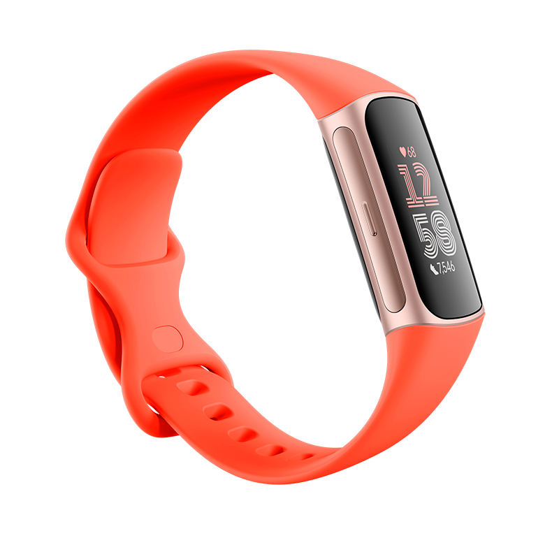  Fitbit Charge 6