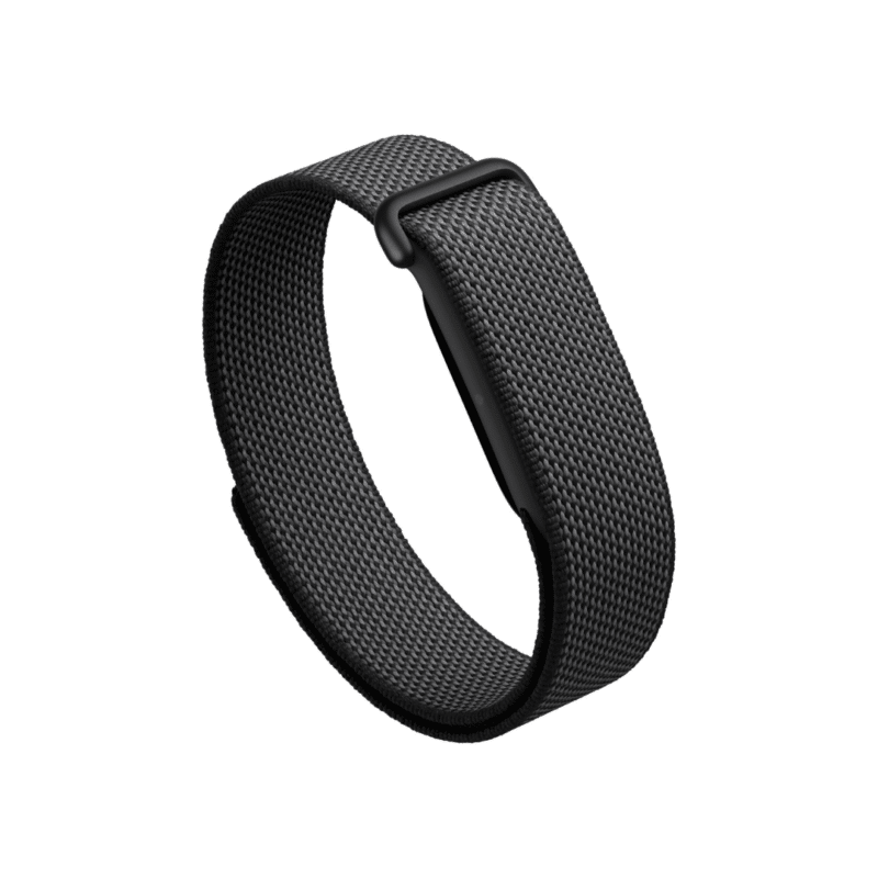 Google Fitbit Air